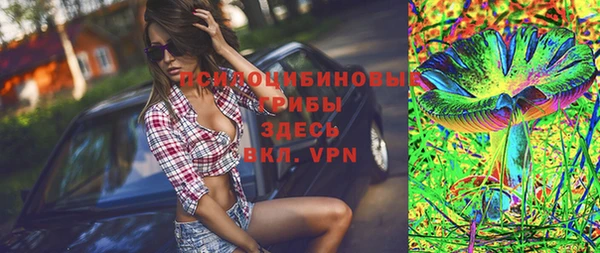 винт Аркадак